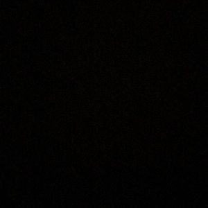 Meet your Posher, Angelica